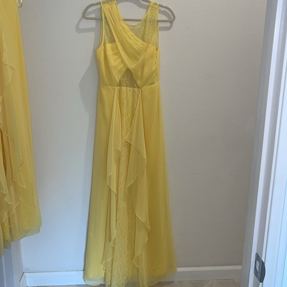 BCBGMAXAZRIA Alessia Chiffon lace dress - Picture 3 of 4